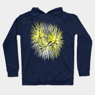 Light Up The Night Sky Colorful Fireworks Celebrations 7 Hoodie